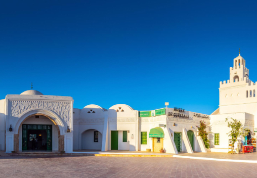 Djerba : Tour de l'île d'une demi-journée