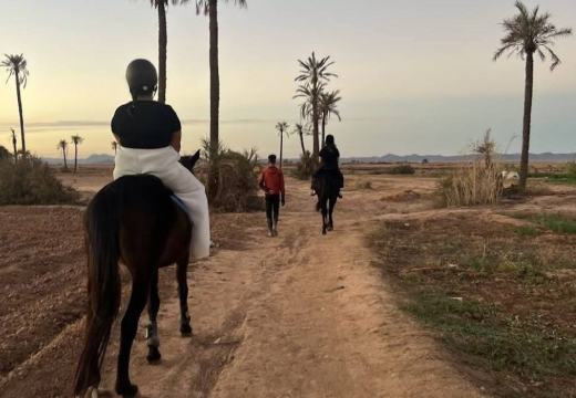 Djerba: Balade découverte de cheval  2h30 d'équitation à Djerba