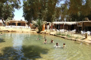 Arrivée à Ksar Ghilane