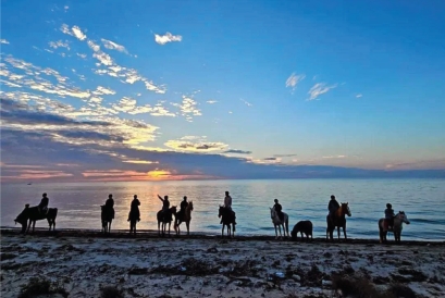 Randonnée 4h à Djerba – Découverte de la nature, baignade et aventure à cheval