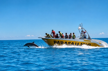 Balade en mer à Djerba – Rencontre avec les dauphins (2h)