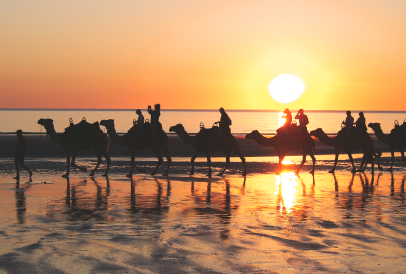 Balade à Dos de Chameau à Djerba – Aventure Authentique | Découverte Nature à Djerba